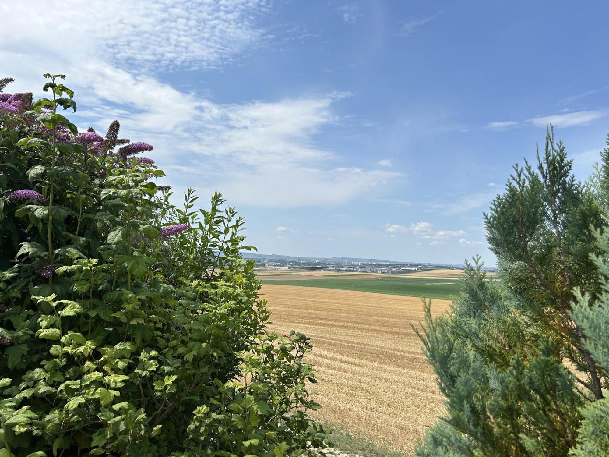 Happy Villa Cernay-les-Reims Ngoại thất bức ảnh